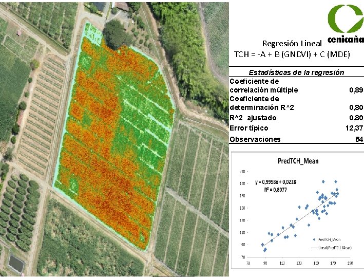 Regresión Lineal TCH = -A + B (GNDVI) + C (MDE) Estadísticas de la
