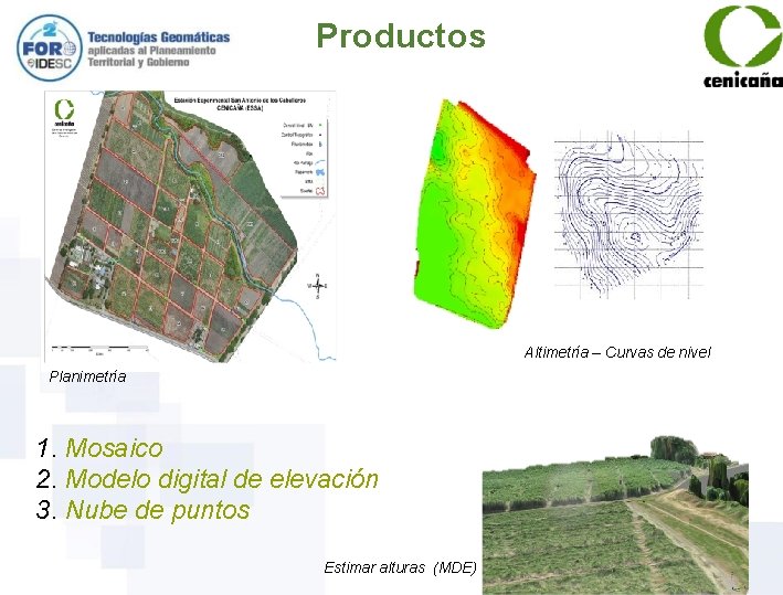 Productos Altimetría – Curvas de nivel Planimetría 1. Mosaico 2. Modelo digital de elevación