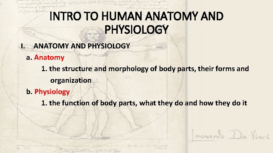 INTRO TO HUMAN ANATOMY AND PHYSIOLOGY I. ANATOMY AND PHYSIOLOGY a. Anatomy 1. the