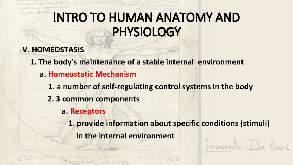 INTRO TO HUMAN ANATOMY AND PHYSIOLOGY V. HOMEOSTASIS 1. The body’s maintenance of a