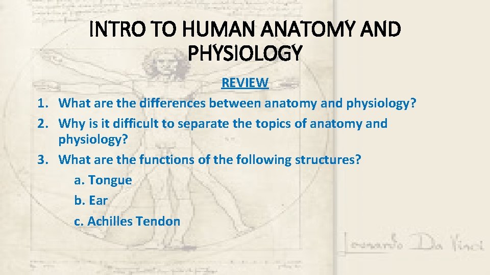 INTRO TO HUMAN ANATOMY AND PHYSIOLOGY REVIEW 1. What are the differences between anatomy