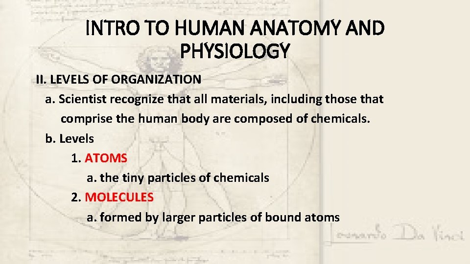 INTRO TO HUMAN ANATOMY AND PHYSIOLOGY II. LEVELS OF ORGANIZATION a. Scientist recognize that