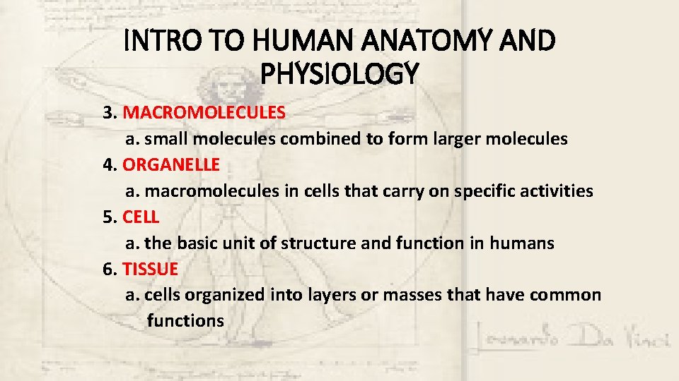 INTRO TO HUMAN ANATOMY AND PHYSIOLOGY 3. MACROMOLECULES a. small molecules combined to form