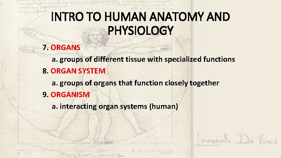 INTRO TO HUMAN ANATOMY AND PHYSIOLOGY 7. ORGANS a. groups of different tissue with