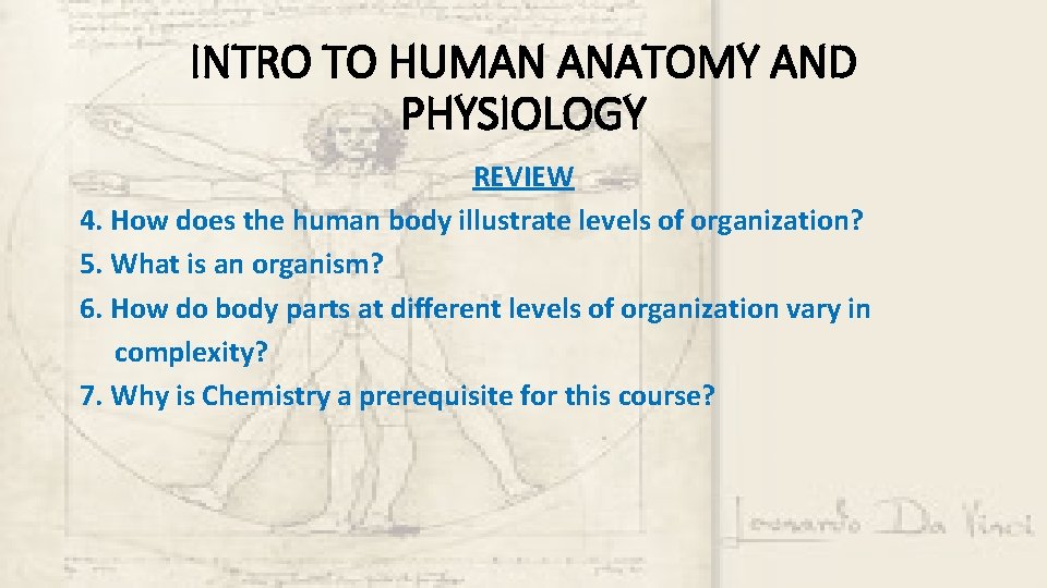 INTRO TO HUMAN ANATOMY AND PHYSIOLOGY REVIEW 4. How does the human body illustrate