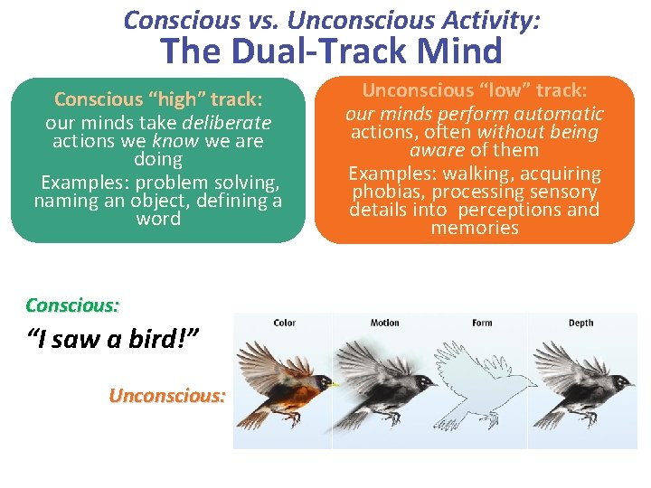 Conscious vs. Unconscious Activity: The Dual-Track Mind Conscious “high” track: our minds take deliberate