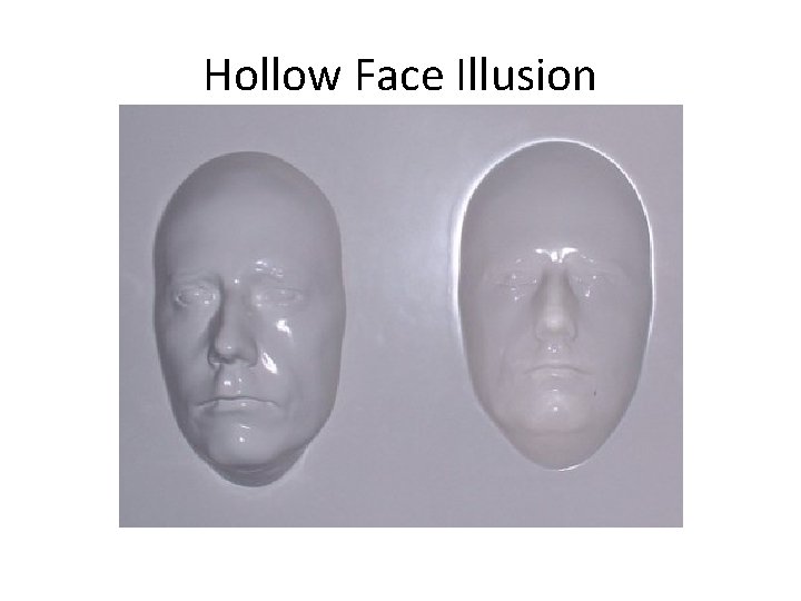 Hollow Face Illusion 