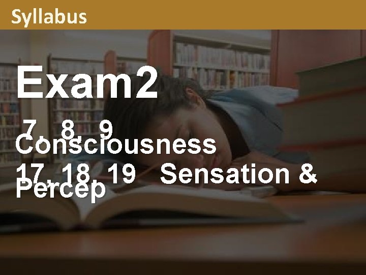 Syllabus Exam 2 7, 8, 9 Consciousness 17, 18, 19 Sensation & Percep 