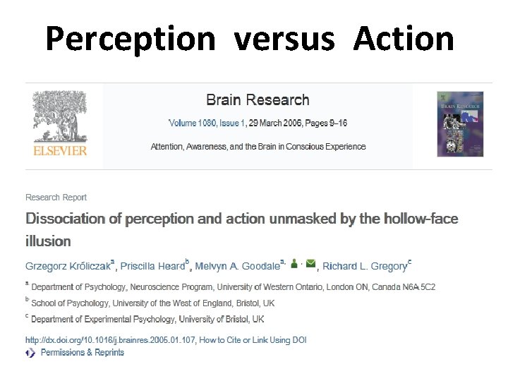 Perception versus Action 