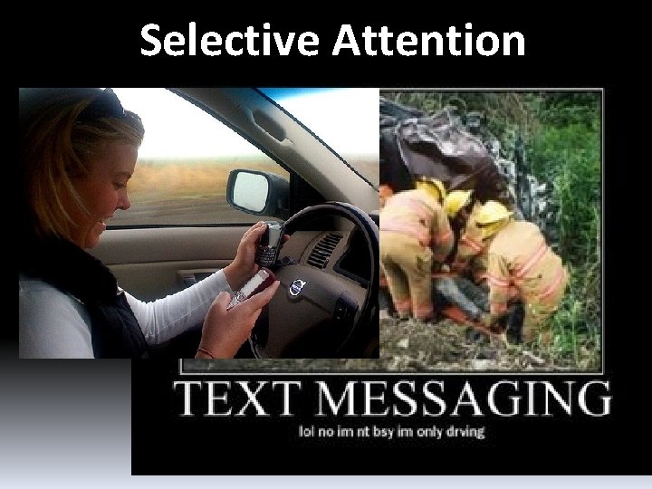 Selective Attention 