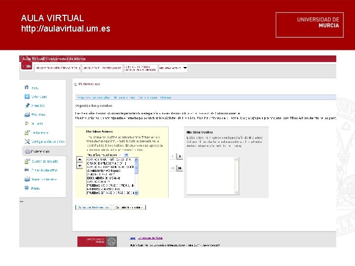 AULA VIRTUAL http: //aulavirtual. um. es 