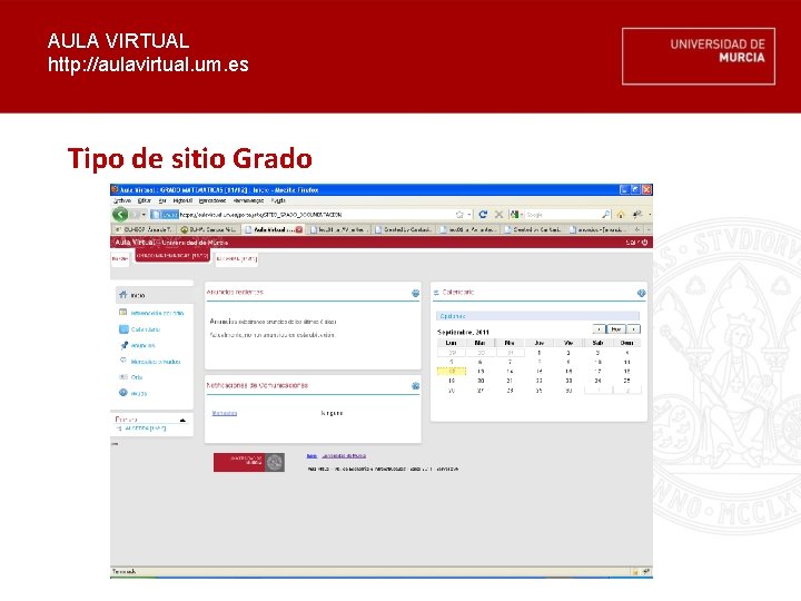 AULA VIRTUAL http: //aulavirtual. um. es Tipo de sitio Grado 