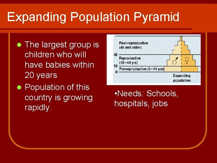 Expanding Population Pyramid The largest group is children who will have babies within 20