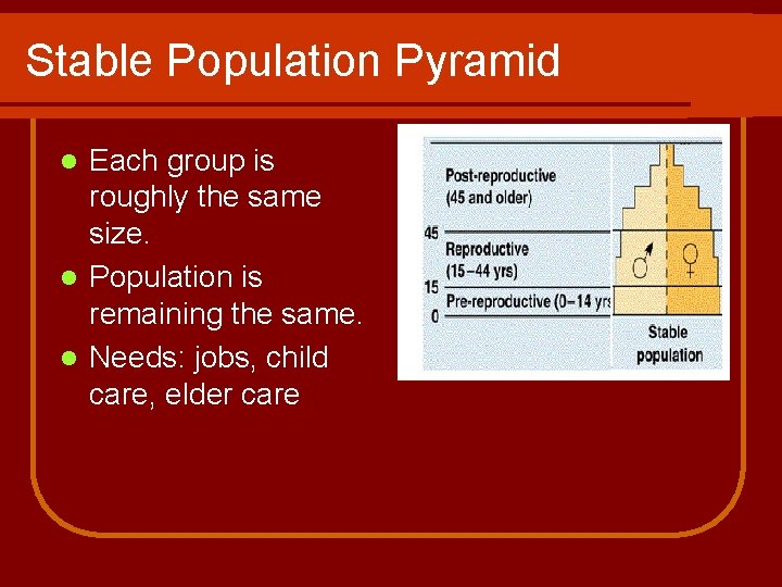 Stable Population Pyramid Each group is roughly the same size. l Population is remaining
