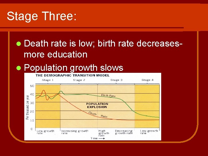 Stage Three: l Death rate is low; birth rate decreasesmore education l Population growth