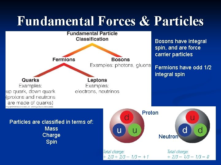 Fundamental Forces & Particles Bosons have integral spin, and are force carrier particles Fermions
