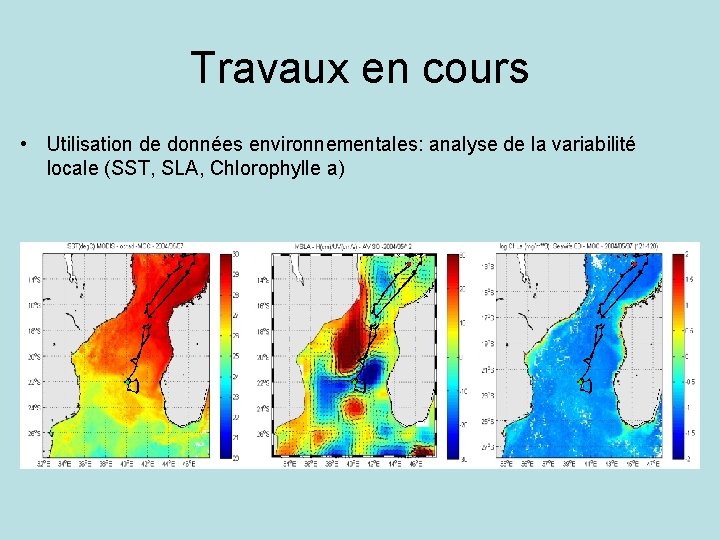 Travaux en cours • Utilisation de données environnementales: analyse de la variabilité locale (SST,