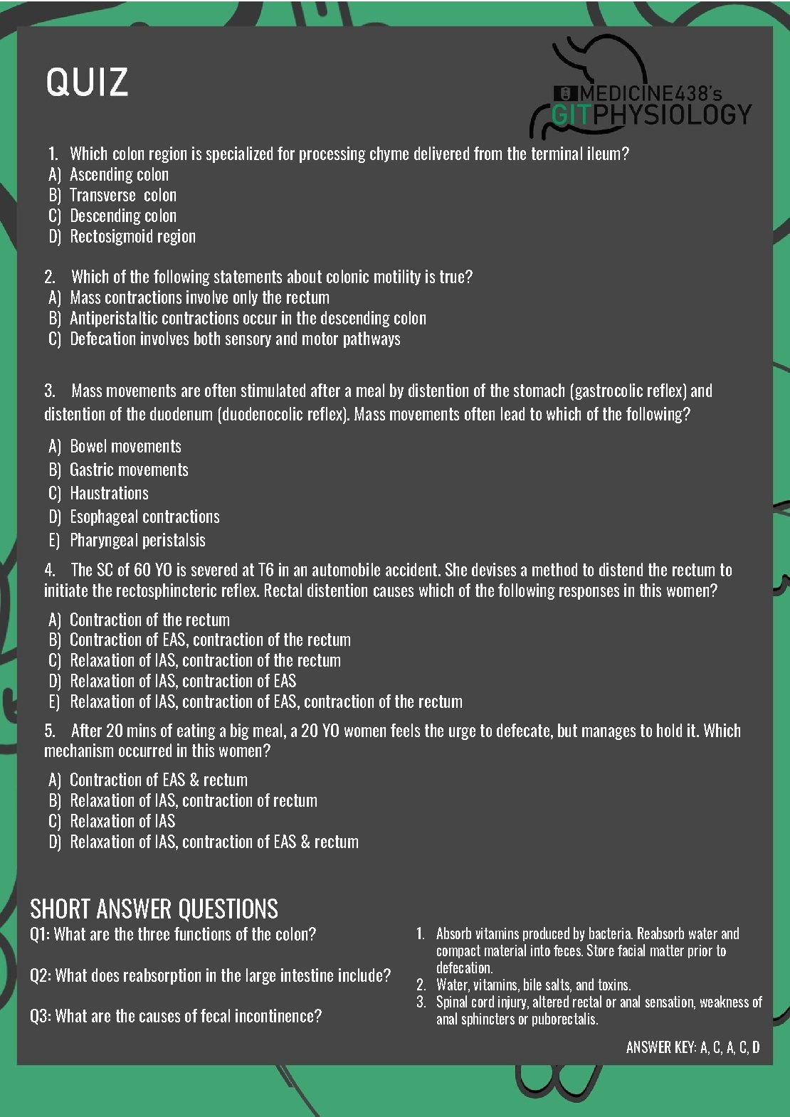 1. A) B) C) D) Which colon region is specialized for processing chyme delivered 1. A) B) C) D) Which colon region is specialized for processing chyme delivered