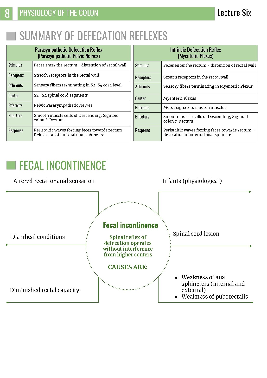 8 Lecture Six PHYSIOLOGY OF THE COLON SUMMARY OF DEFECATION REFLEXES Intrinsic Defecation Reflex 8 Lecture Six PHYSIOLOGY OF THE COLON SUMMARY OF DEFECATION REFLEXES Intrinsic Defecation Reflex