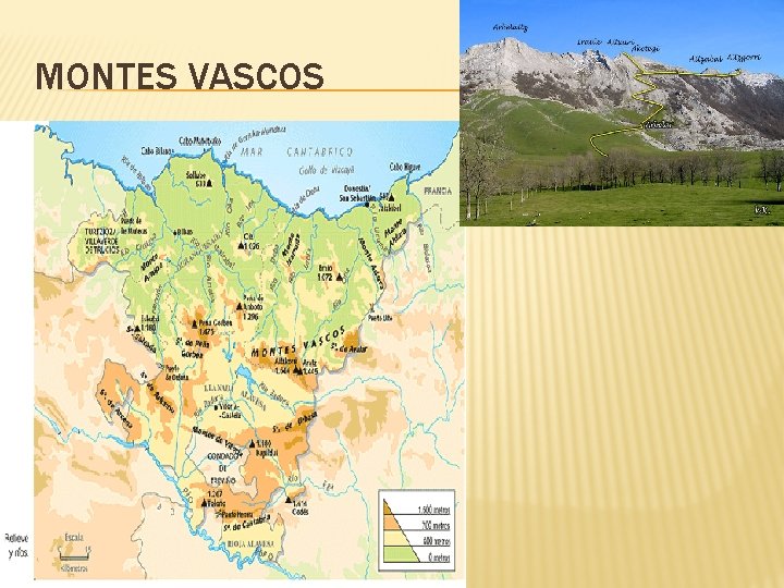 MONTES VASCOS 