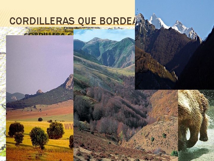 CORDILLERAS QUE BORDEAN LA MESETA: Montes de León: Sierra de Teleno (Teleno 2. 188