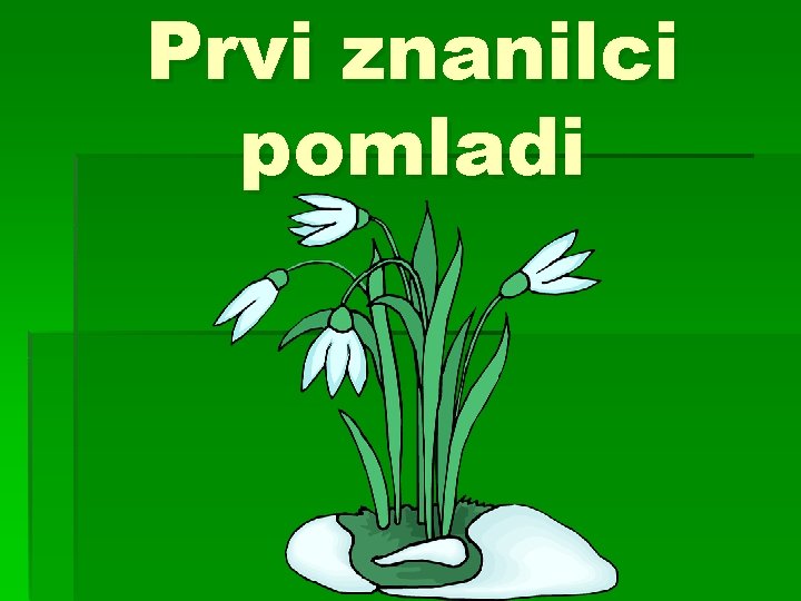 Prvi znanilci pomladi 