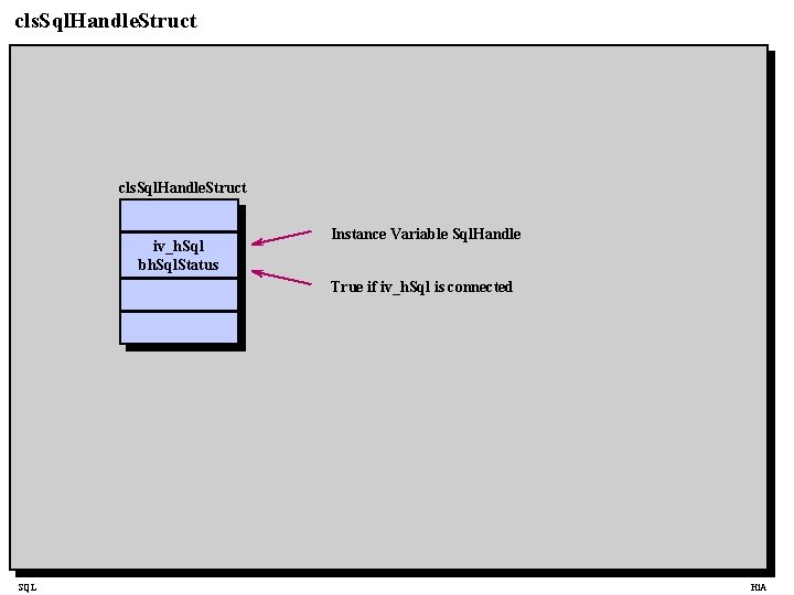 cls. Sql. Handle. Struct iv_h. Sql bh. Sql. Status Instance Variable Sql. Handle True
