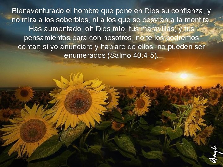 Bienaventurado el hombre que pone en Dios su confianza, y no mira a los