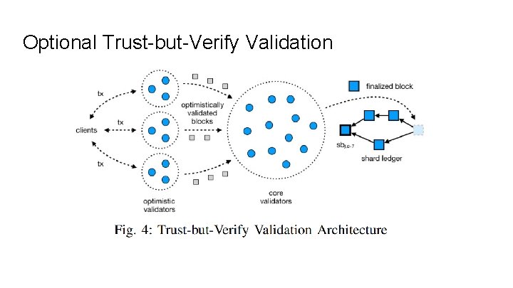 Optional Trust-but-Verify Validation 