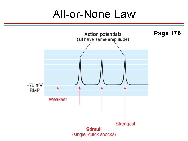 All-or-None Law Page 176 