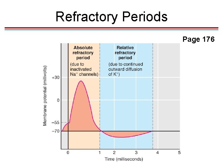 Refractory Periods Page 176 