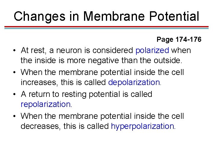 Changes in Membrane Potential Page 174 -176 • At rest, a neuron is considered
