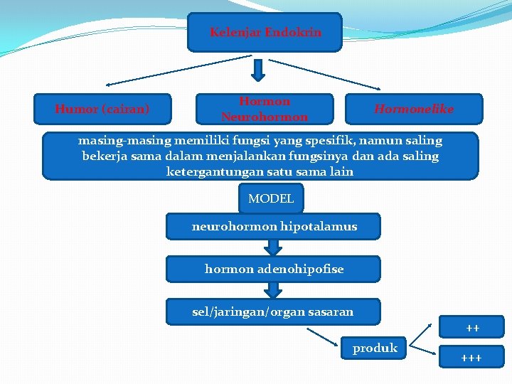 Kelenjar Endokrin Humor (cairan) Hormon Neurohormon Hormonelike masing-masing memiliki fungsi yang spesifik, namun saling