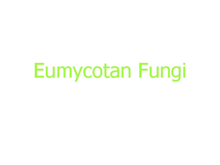 Eumycotan Fungi Eumycotan Fungi
