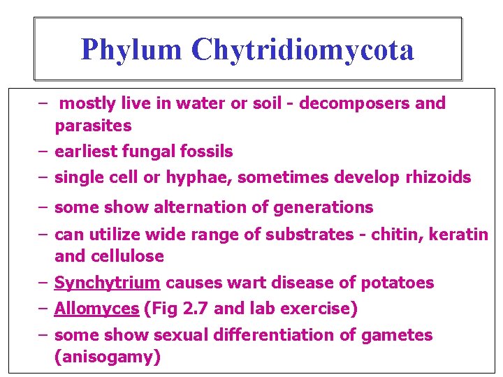 Phylum Chytridiomycota – mostly live in water or soil - decomposers and parasites –