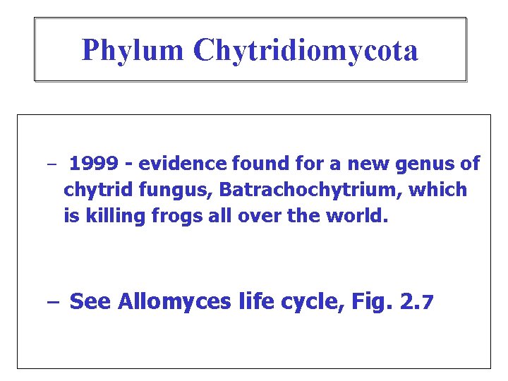 Phylum Chytridiomycota – 1999 - evidence found for a new genus of chytrid fungus,