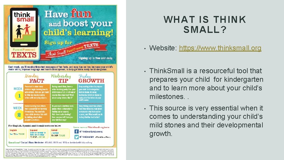 WHAT IS THINK SMALL? • Website: https: //www. thinksmall. org • Think. Small is