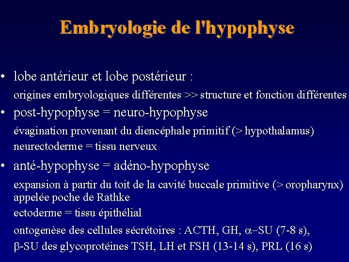 Embryologie de l'hypophyse • lobe antérieur et lobe postérieur : origines embryologiques différentes >>