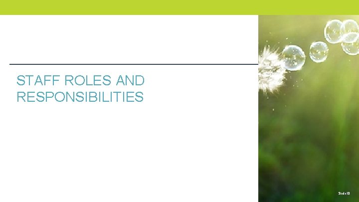 STAFF ROLES AND RESPONSIBILITIES Slide 18 18 