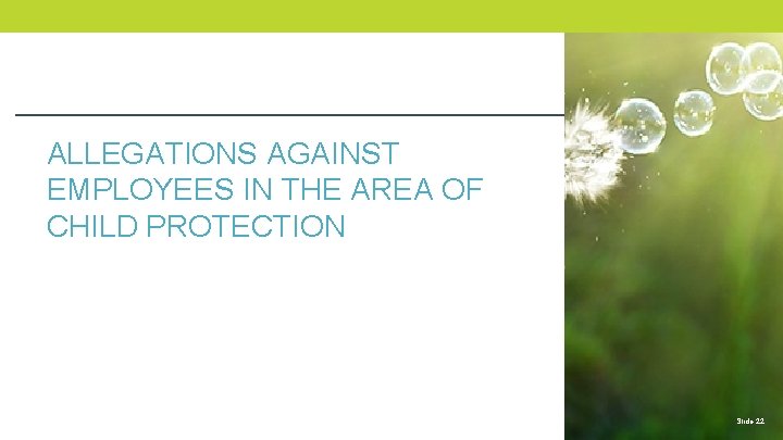 ALLEGATIONS AGAINST EMPLOYEES IN THE AREA OF CHILD PROTECTION Slide 22 