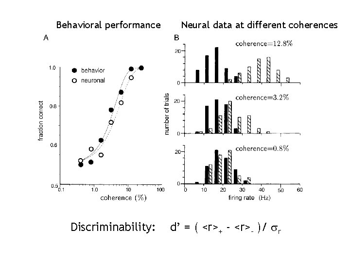 Behavioral performance Discriminability: Neural data at different coherences d’ = ( <r>+ - <r>- Behavioral performance Discriminability: Neural data at different coherences d’ = ( <r>+ - <r>-