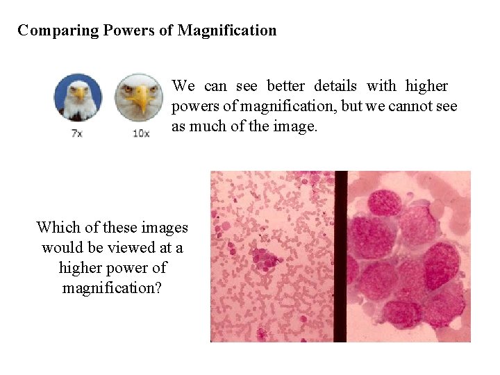 Comparing Powers of Magnification We can see better details with higher powers of magnification,