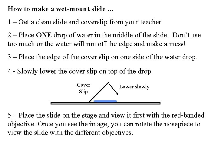 How to make a wet-mount slide … 1 – Get a clean slide and