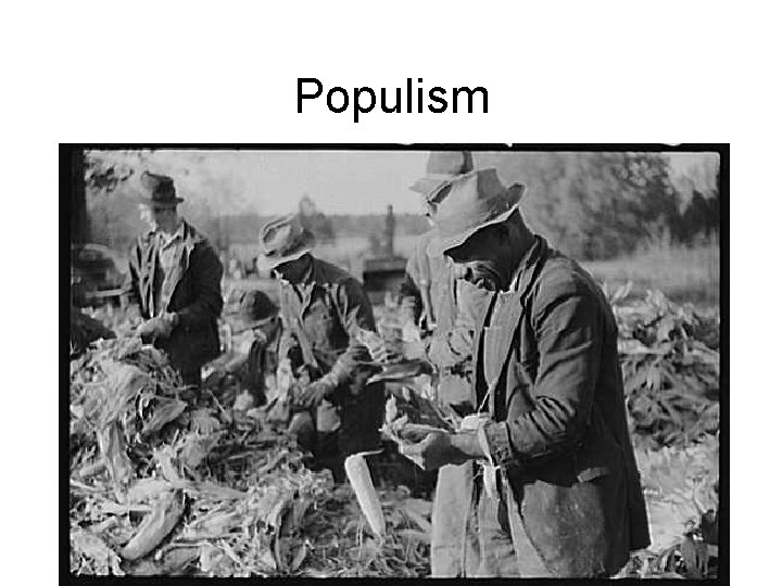 Populism 