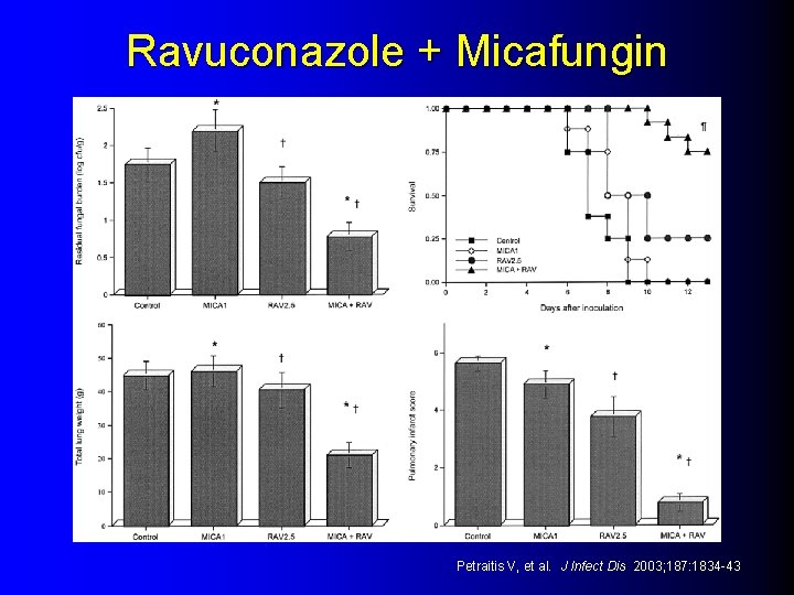 Ravuconazole + Micafungin Petraitis V, et al. J Infect Dis 2003; 187: 1834 -43