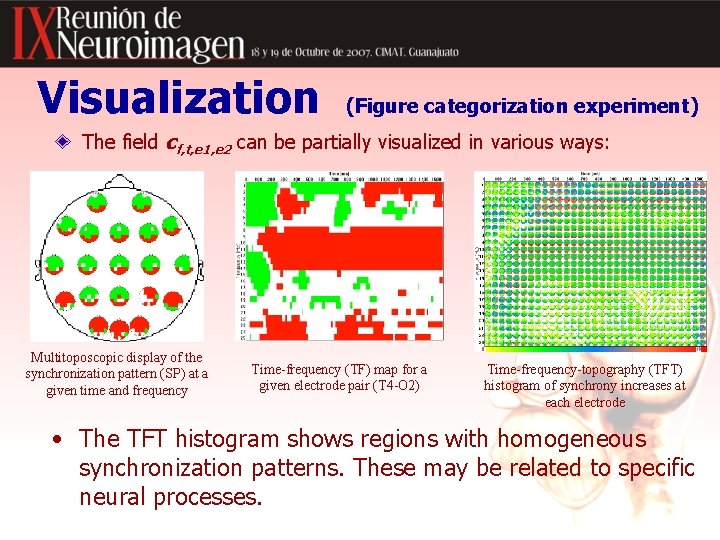 Visualization (Figure categorization experiment) The field cf, t, e 1, e 2 can be