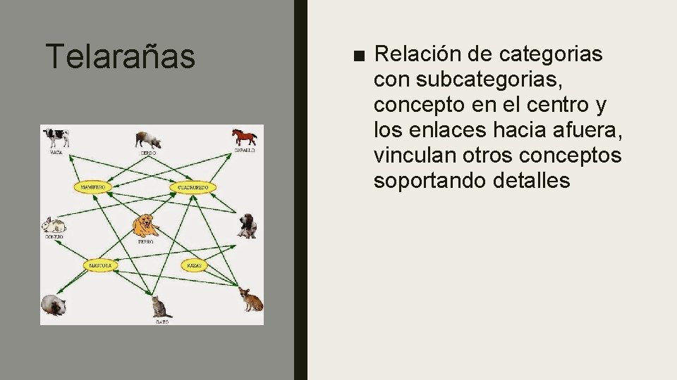 Telarañas ■ Relación de categorias con subcategorias, concepto en el centro y los enlaces