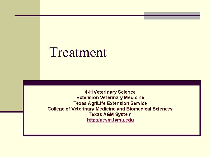 Treatment 4 -H Veterinary Science Extension Veterinary Medicine Texas Agri. Life Extension Service College