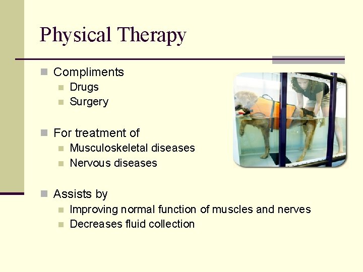 Physical Therapy n Compliments n Drugs n Surgery n For treatment of n Musculoskeletal