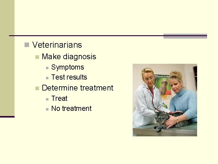 n Veterinarians n Make diagnosis n n n Symptoms Test results Determine treatment n